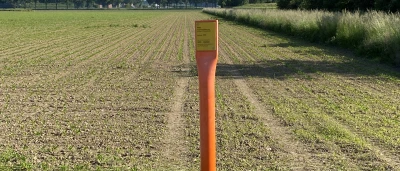 Oranje informatiepaal in een open veld met bomen op de achtergrond.