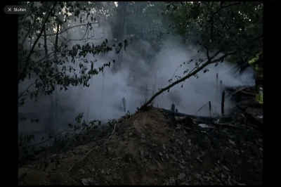 Dichte mist tussen bomen boven een verbrand gebied. Donkere, vochtige sfeer.