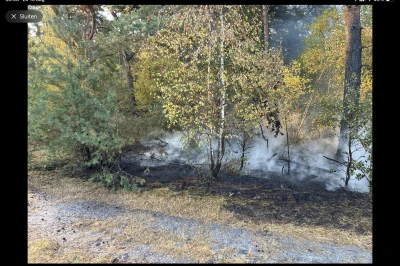 Rook stijgt op uit een brandend stuk bos tussen groene en gele bomen.