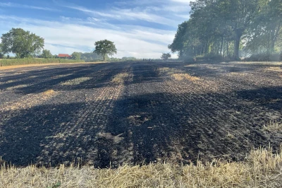 Zwartgebrand veld met rokerige lucht en bomen op de achtergrond.