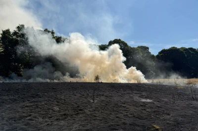 Rook stijgt op uit een brandend veld met een blauwe lucht en bomen op de achtergrond.